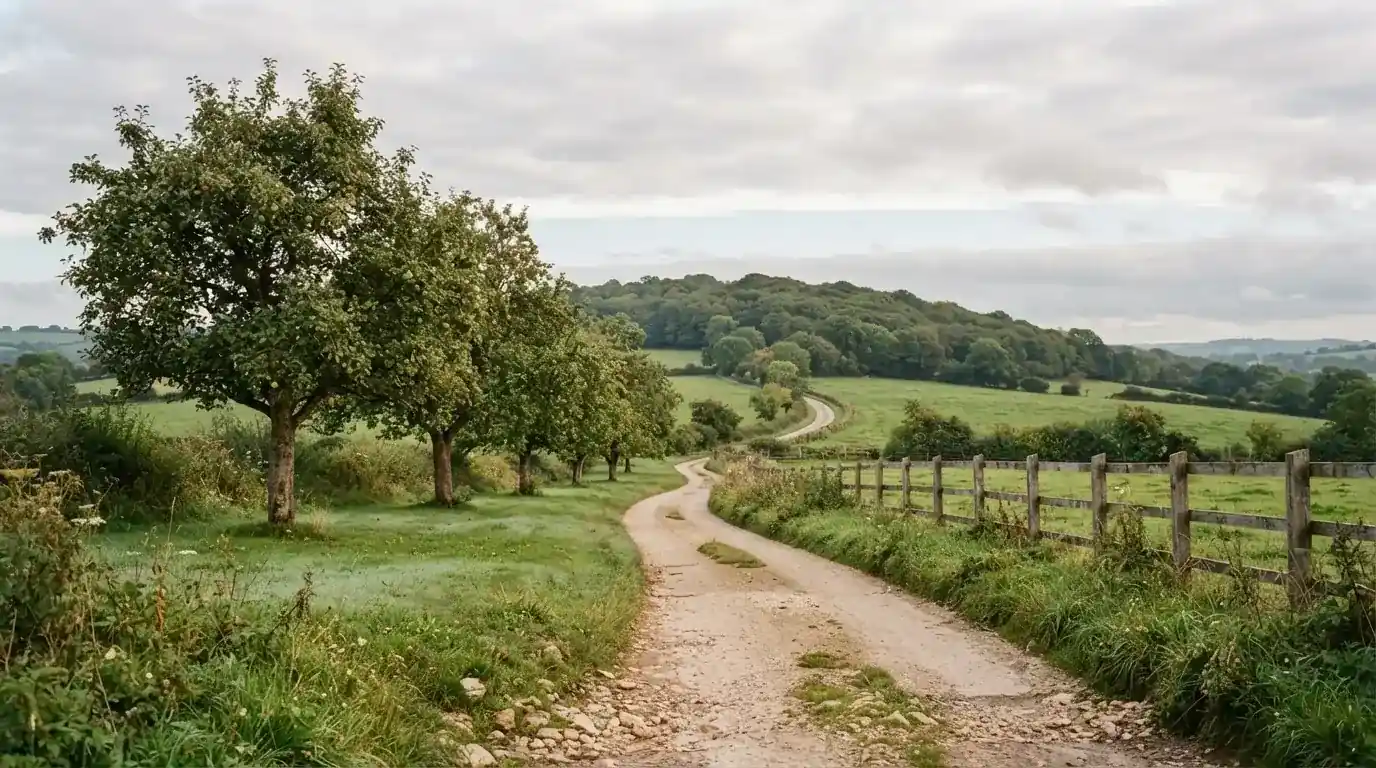 Ein Feldweg führt zwischen Wiesen zu einem Hügel, der Himmel ist bewölkt, am Wegrand stehen Obstbäume.