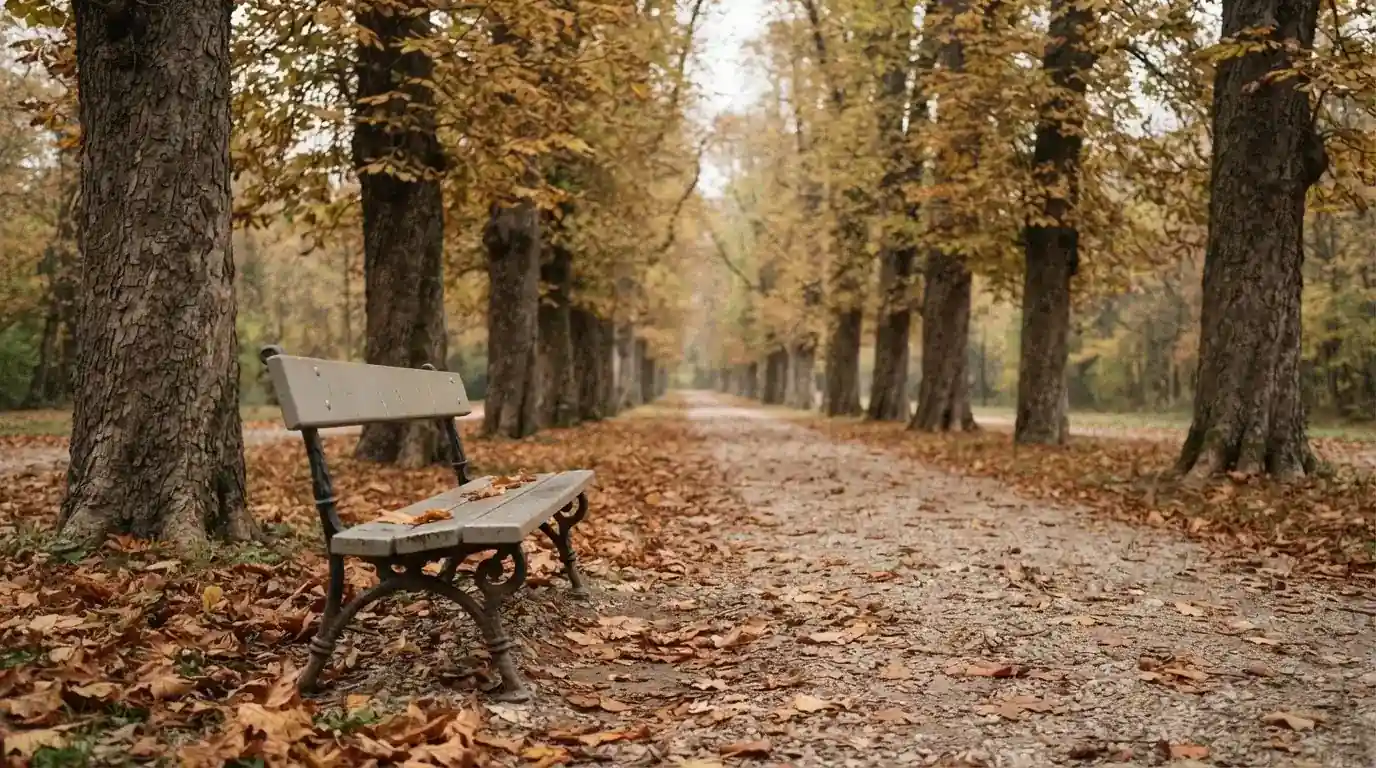 Eine Parkallee mit Kastanienbäumen und einer leeren Bank, Herbstlaub bedeckt den Kiesweg.