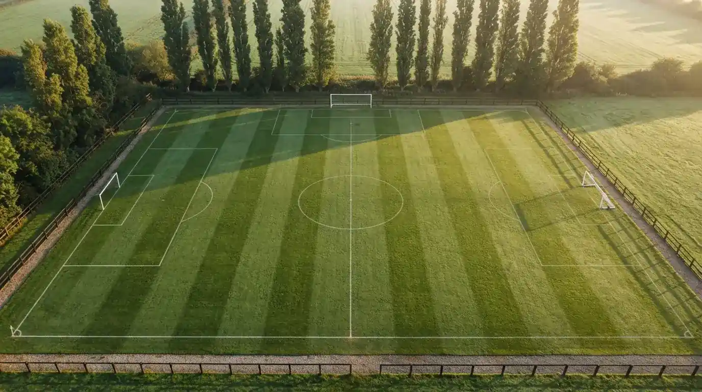 Ein leerer Fussballplatz mit weissen Linien von oben gesehen im Morgenlicht, am Rand stehen zwei Tore und eine Reihe Pappeln.